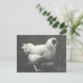 POULE BRIEFKAART (Staand voorkant)
