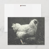 POULE BRIEFKAART (Voorkant / Achterkant)