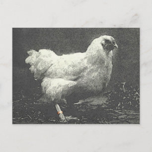 POULE BRIEFKAART