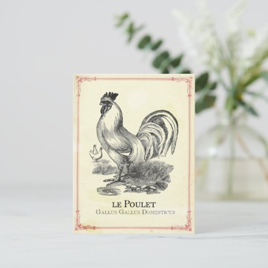 Poulet Chicken Briefkaart (Staand voorkant)