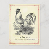 Poulet Chicken Briefkaart (Voorkant)