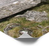 Poulnabrone dolmen poster (Hoek)