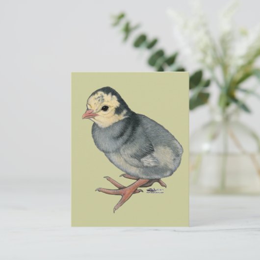 Poult Blue Slate Briefkaart (Staand voorkant)