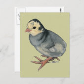 Poult Blue Slate Briefkaart (Voorkant / Achterkant)