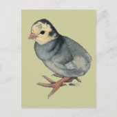 Poult Blue Slate Briefkaart (Voorkant)
