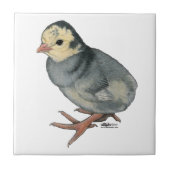 Poult Blue Slate Tegeltje (Voorkant)