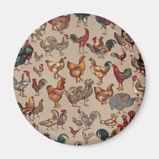 Poultry Rooster Chicken country art Magneet (Voorkant)