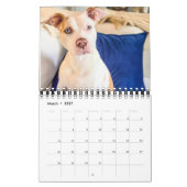 Poundcake en milkshake kalender (Mar 2027)