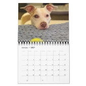 Poundcake en milkshake kalender (Jan 2027)