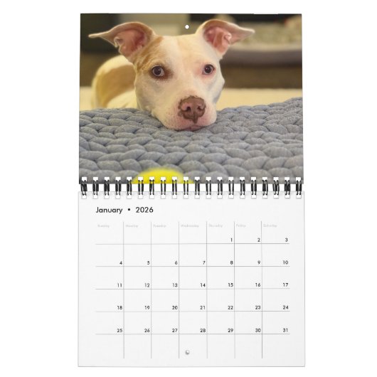 Poundcake en milkshake kalender (Jan 2026)