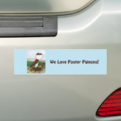 Pouter Pigeon Red Hana Bumpersticker (Op auto)