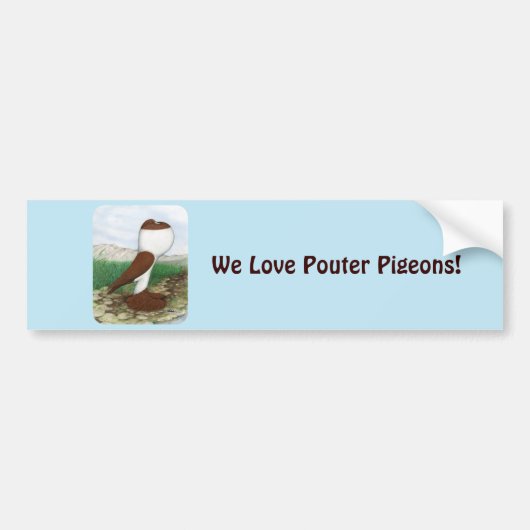 Pouter Pigeon Red Hana Bumpersticker (Voorkant)