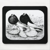 Pouter Pigeons omdraaien Muismat (Voorkant)