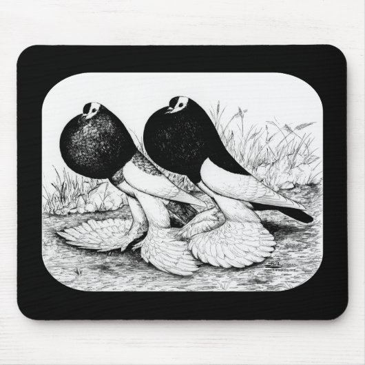 Pouter Pigeons omdraaien Muismat (Voorkant)