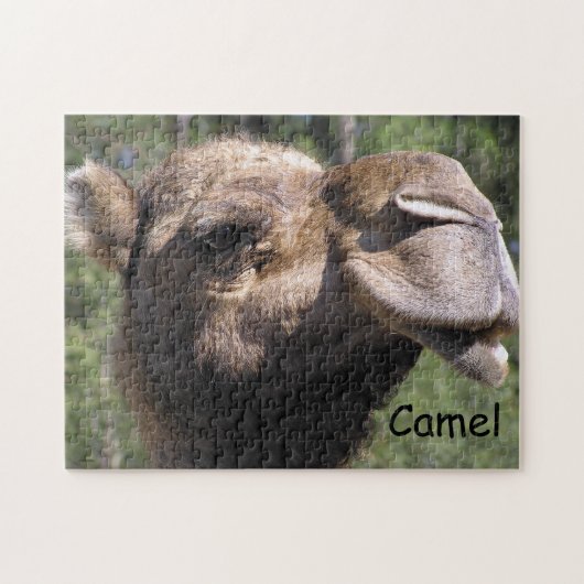 Pouting Camel Legpuzzel (Horizontaal)