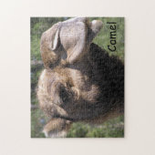 Pouting Camel Legpuzzel (Verticaal)