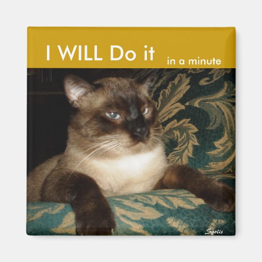 Pouty Siamese Cat Fridge Magnet (Voorkant)