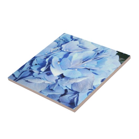 Powder Blue Hydrangea Tegeltje (Zijkant)