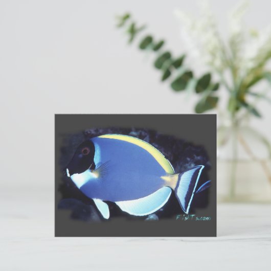 Powder Blue Tang Briefkaart (Staand voorkant)