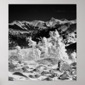 Powder Coat Poster (Voorkant)