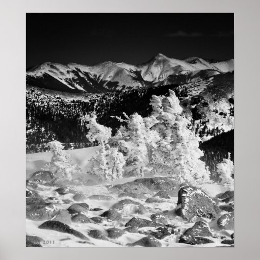 Powder Coat Poster (Voorkant)