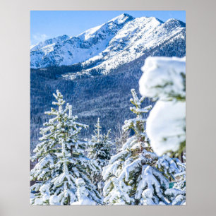 Powder Forest // Blue Snow Pet Mountain Poster