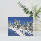 Powder Morning, Alpine Meadows... Briefkaart (Staand voorkant)