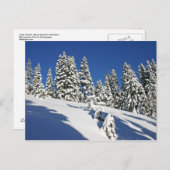 Powder Morning, Alpine Meadows... Briefkaart (Voorkant / Achterkant)