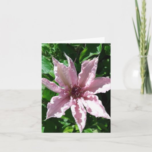 Powder Pink Clematis Flower Folded Wenskaart Kaart (Voorkant)