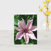 Powder Pink Clematis Flower Folded Wenskaart Kaart (Gele Bloem)