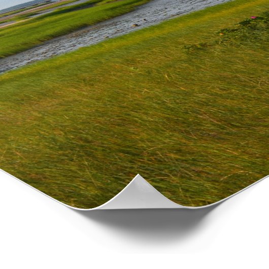 Powder Point Duxbury Poster (Hoek)