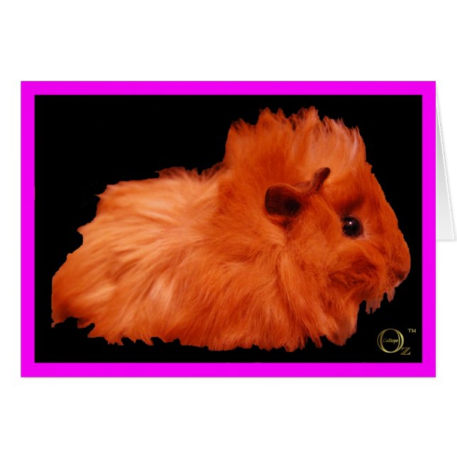 Powder Puff (Voorkant Horizontaal)