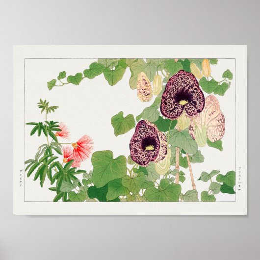 Powder puff-boom, Calico-bloem door Tanigami Konan Poster (Voorkant)