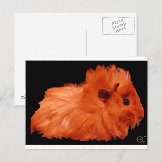 Powder Puff Briefkaart (Voorkant / Achterkant)