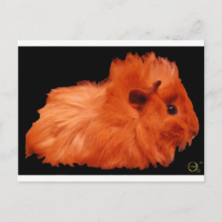 Powder Puff Briefkaart