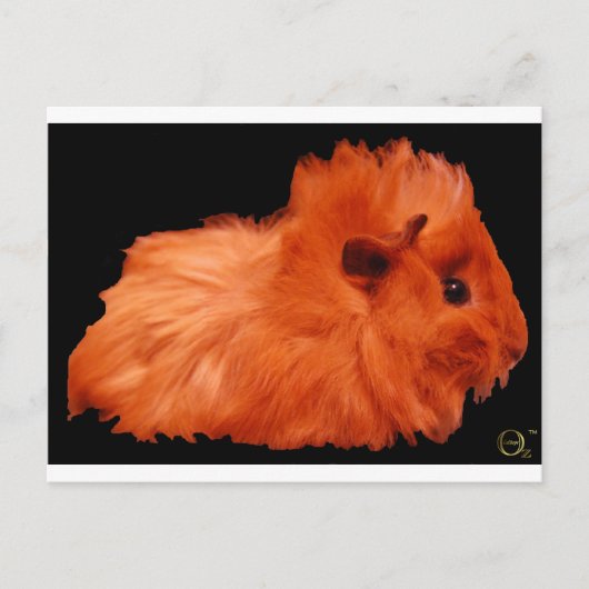 Powder Puff Briefkaart (Voorkant)