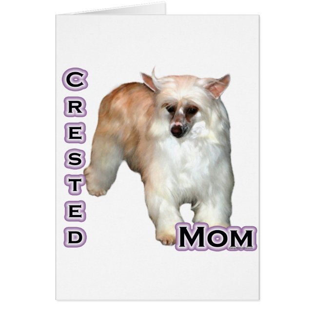 Powderpuff Crested Moeder 4 (Voorkant)