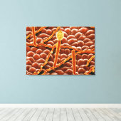 Powdery Mildew Fungus over Poinsettia Canvas Afdruk (Insitu (Houten vloer))