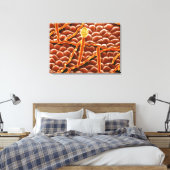 Powdery Mildew Fungus over Poinsettia Canvas Afdruk (Insitu (Slaapkamer))