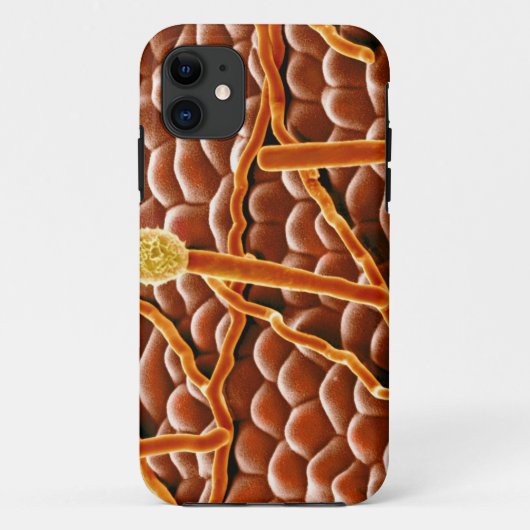 Powdery Mildew Fungus over Poinsettia Case-Mate iPhone Case (Achterkant)