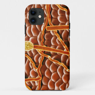 Powdery Mildew Fungus over Poinsettia Case-Mate iPhone Case