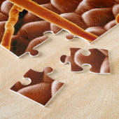 Powdery Mildew Fungus over Poinsettia Legpuzzel (Zijkant)