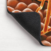 Powdery Mildew Fungus over Poinsettia Muismat (Hoek)