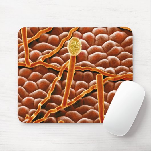 Powdery Mildew Fungus over Poinsettia Muismat (Met muis)