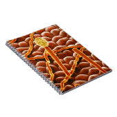 Powdery Mildew Fungus over Poinsettia Notitieboek (Rechterzijde)