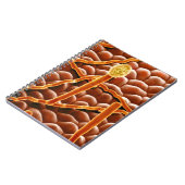 Powdery Mildew Fungus over Poinsettia Notitieboek (Linkerzijde)