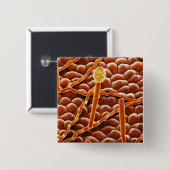 Powdery Mildew Fungus over Poinsettia Vierkante Button 5,1 Cm (Voorkant /achterkant)