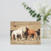 Power Play Briefkaart (Staand voorkant)