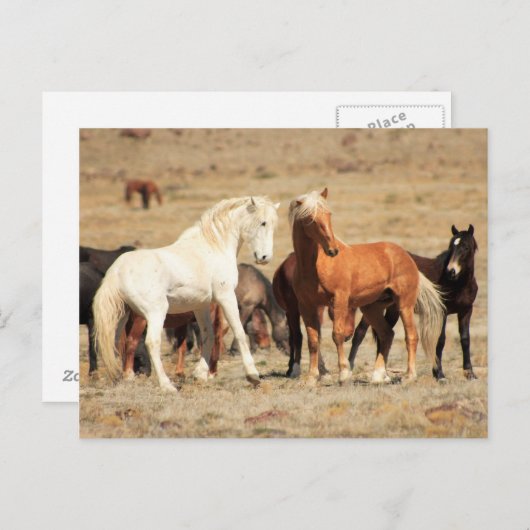 Power Play Briefkaart (Voorkant / Achterkant)