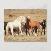 Power Play Briefkaart (Voorkant)